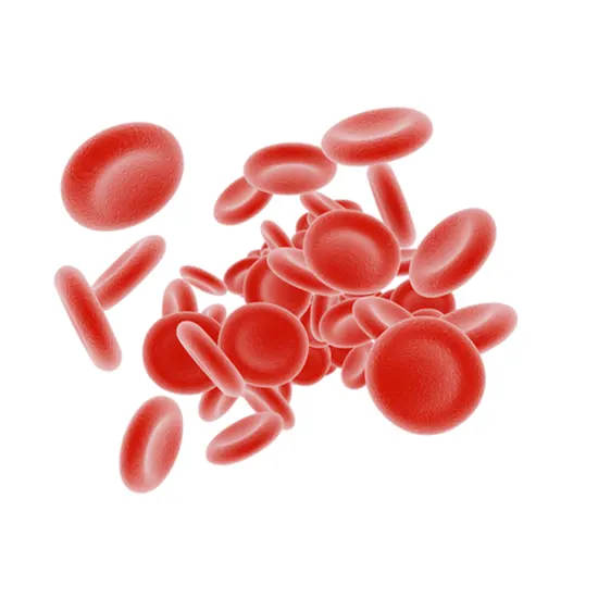 anemia comprehensive panel test